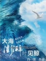 大海澎湃时见鲸图片