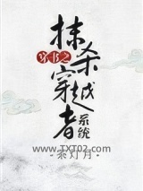 穿书之抹杀穿越者系统图片