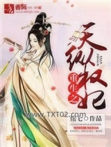 重生之天纵权妃