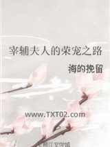 宰辅夫人的荣宠之路图片