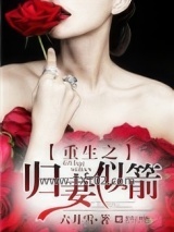 重生之归妻似箭图片