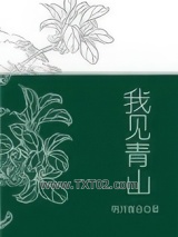 我见青山
