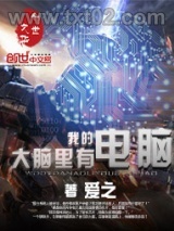 我的大脑里有电脑图片