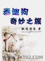 泰迪狗奇妙之旅图片