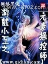 游戏小工之元素操控师