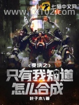 麦块之只有我知道怎么合成图片