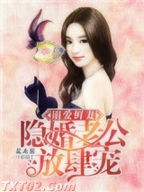 溺爱鲜妻：隐婚老公放肆宠图片