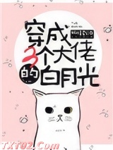 穿成三个大佬的白月光图片