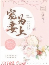 宠妻为上图片