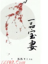 一品宝妻图片