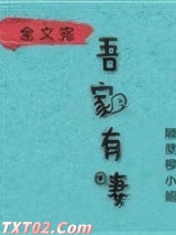 娘子，在下有眼无珠