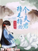 撸毛撸回个夫君小说