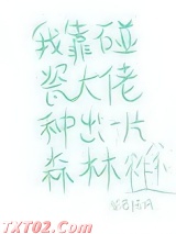 我靠碰瓷大佬种出一片森林