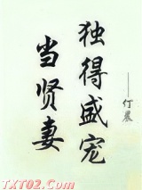 《当贤妻独得盛宠》全本TXT下载-作者：仃晨