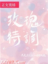 玫瑰特调小说