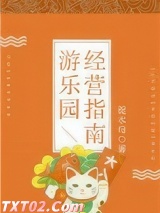 游乐园经营指南图片