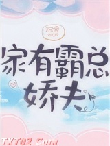 家有霸总娇夫（女尊）图片