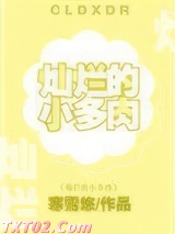 灿烂的小多肉图片