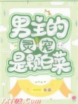 男主的灵宠是棵白菜［穿书］