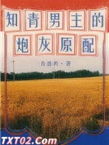 《知青男主的炮灰原配[穿书]》全本TXT下载-作者：肖盐药