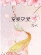 《宠妾灭妻》全本TXT下载-作者：客水