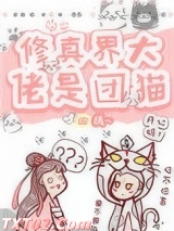 修真界大佬是团猫图片