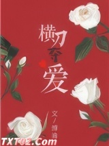 横刀夺爱（作者：傅渝）图片