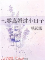 七零离婚过小日子