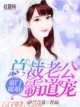 《豪门暖婚：总裁老公霸道宠》全本TXT下载-作者：纳兰京苏