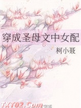 穿成圣母文中女配图片