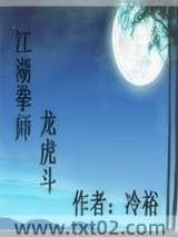 《江湖拳师龙虎斗》全本TXT下载-作者：冷裕