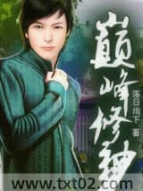 巅峰修神