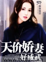 《天价娇妻好威武》全本TXT下载-作者：打盹的猫儿