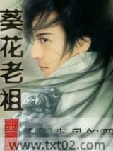 《葵花老祖》全本TXT下载-作者：夜风的梦