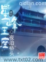 《星峰王座》全本TXT下载-作者：夜泊桥头
